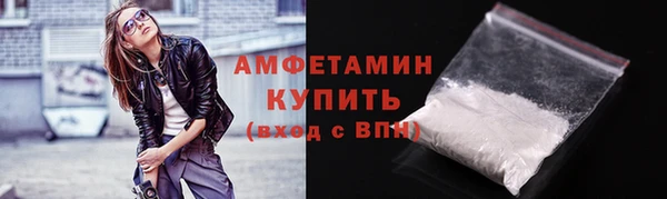 стаф Болотное