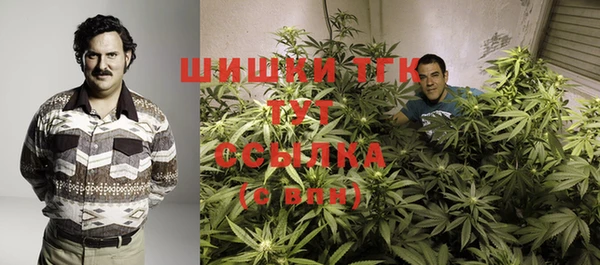 трава Новозыбков