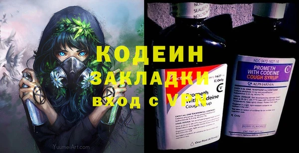трава Новозыбков