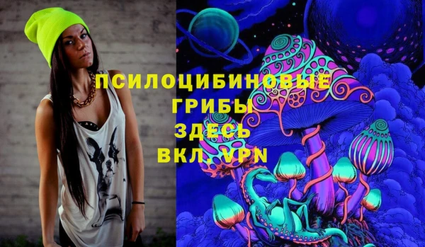 индика Болохово