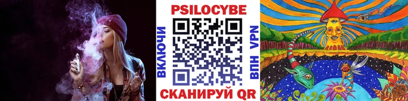 Псилоцибиновые грибы Cubensis  где купить наркотик  mega зеркало  Киреевск 