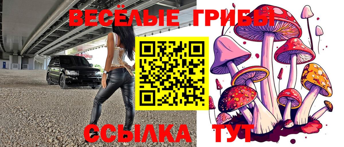Псилоцибиновые грибы GOLDEN TEACHER  Вход с VPN  Киреевск  Галлюциногенные грибы Psilocybe 