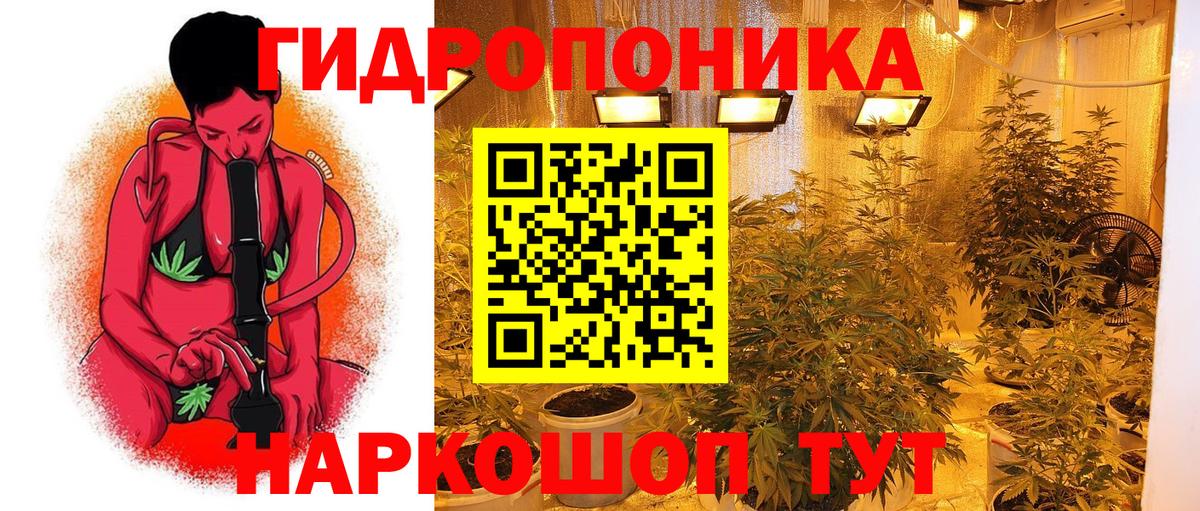 Канабис тримм  Каннабис White Widow  Конопля семена  Вход с VPN  Киреевск  Каннабис ГИДРОПОН 